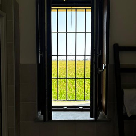 B&B Molinetto 피아첸차 외부 사진
